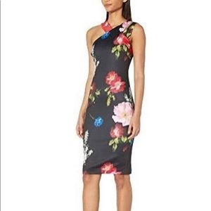 NWT Ted Baker London Poyalo dress